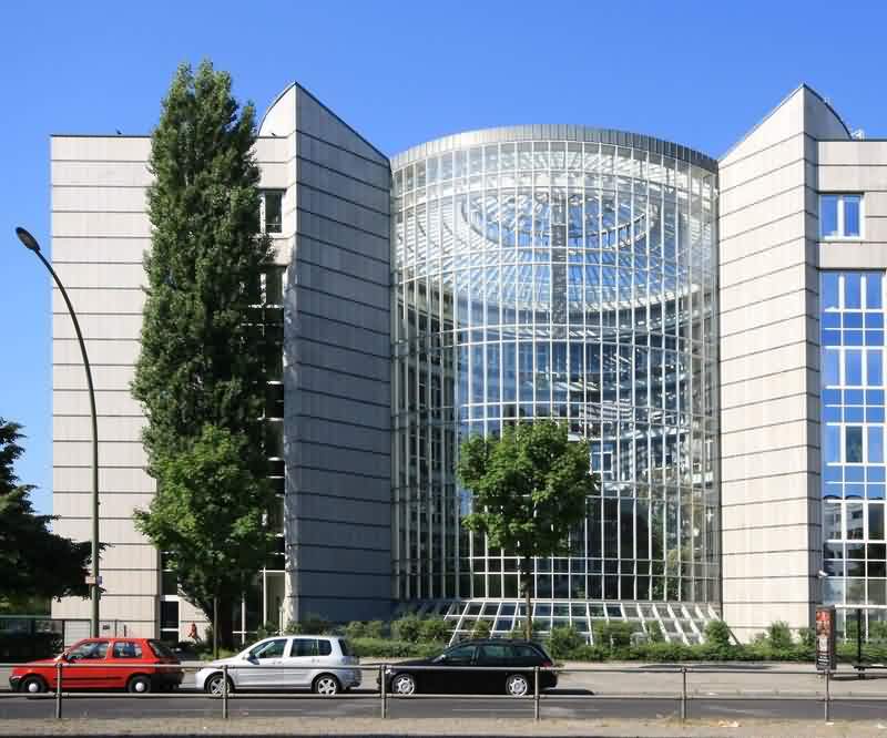 强效催春粉在哪买