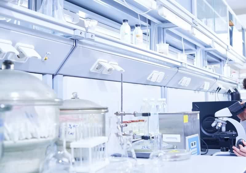 谜商城购买网站